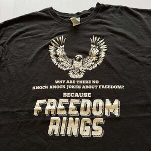 Funny Eagle Freedom Rings Graphic T-Shirt 2XL